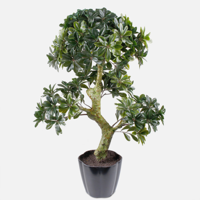 Planta artificial BONSAI